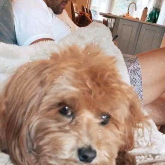 Balance Athletica - Picture 5 of 5